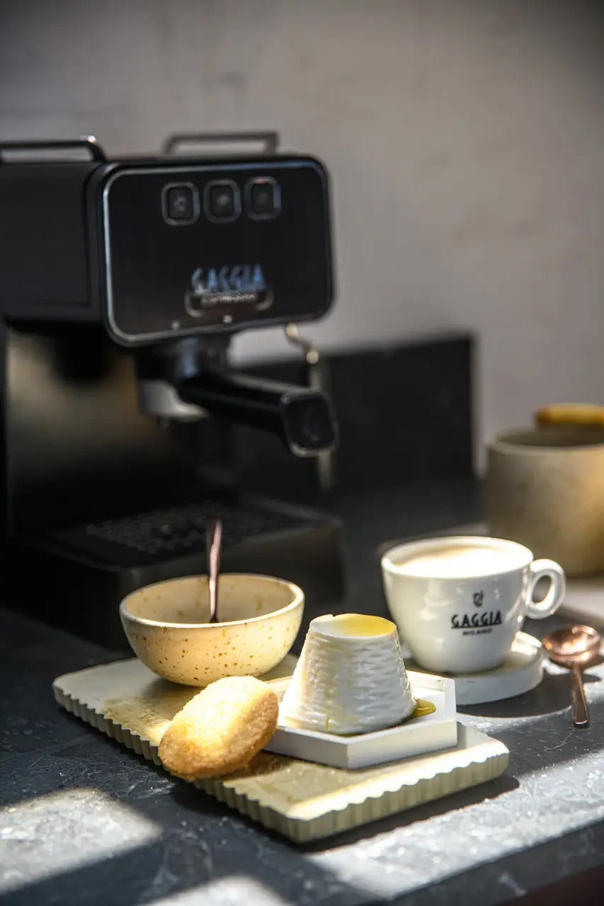 Gaggia evolution